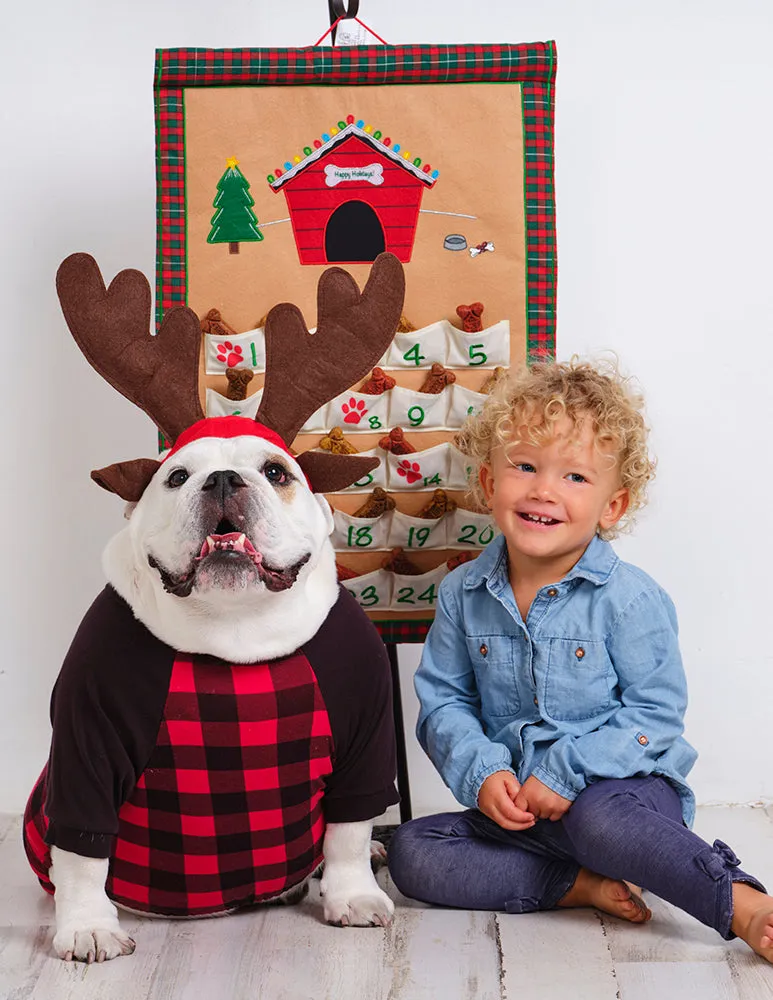 Canine Countdown Dog Advent Calendar