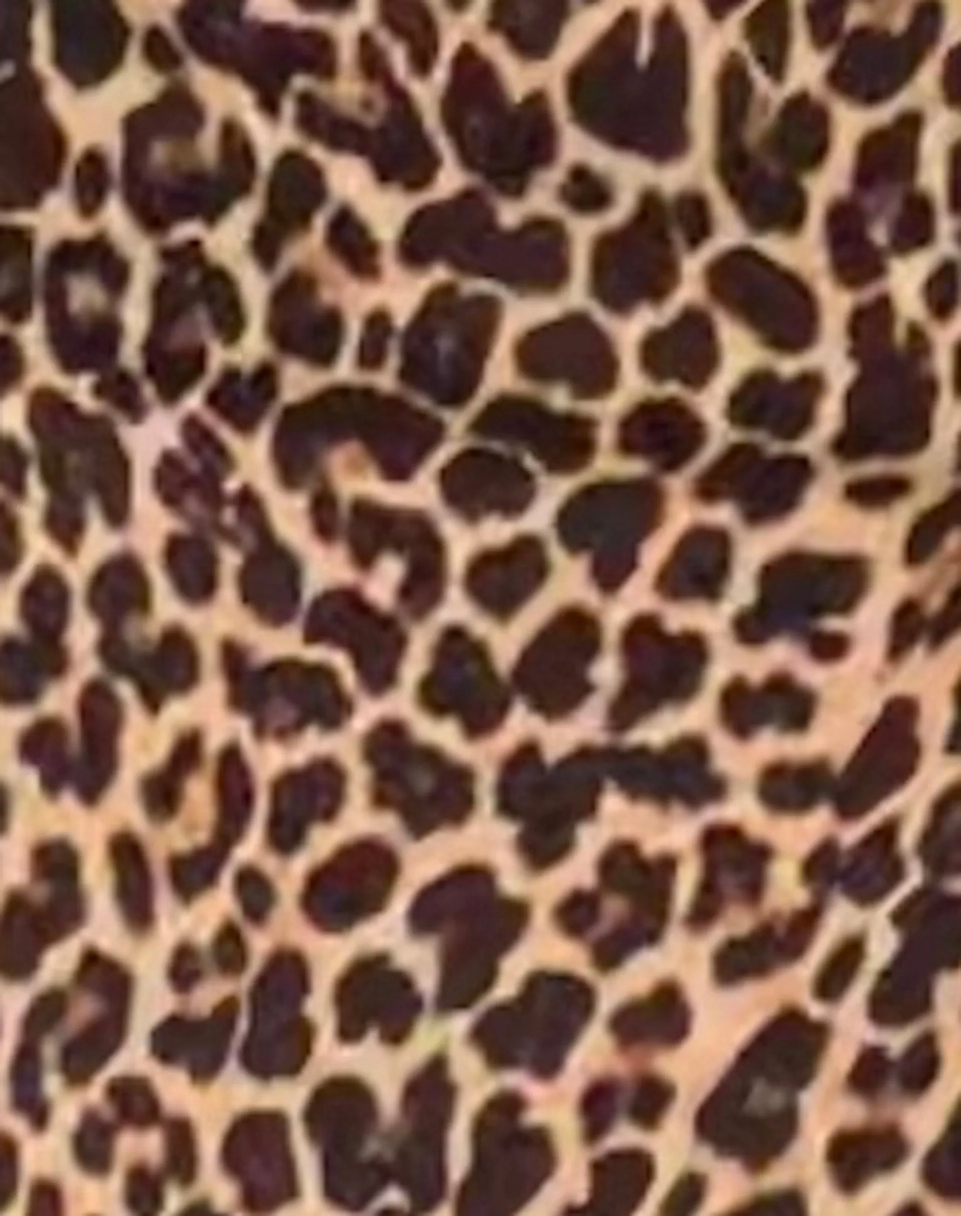Pravara Mini Skirt in Leopard Print